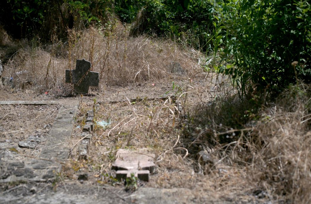 塞尔维亚村庄藏最早吸血鬼墓地 居民希望游客到访