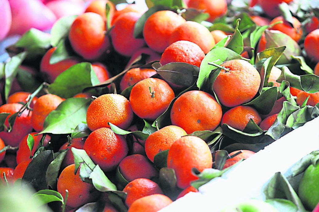 夜报封面/柑枣美容不征SST  企业年收100万以下也豁免