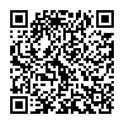 大都会/不老嘉年华 Silver Carnival活动预告/3图
