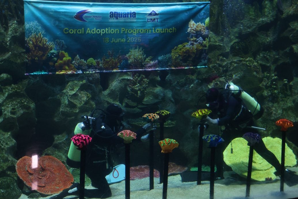 大都会封面/水族馆与UMT推动领养珊瑚计划/