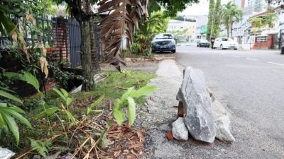 灵市厅路障柱破功 “见缝插车”乱象升级