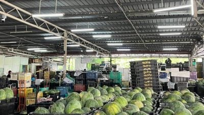 爆炸巨响吓坏人 大型水果摊恢复营业