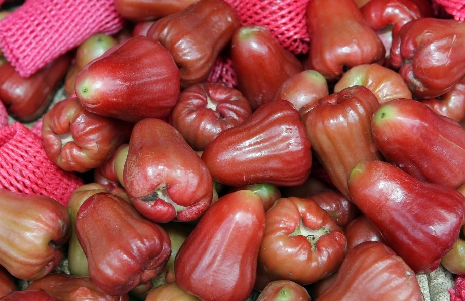 大马评价最佳的三种水果