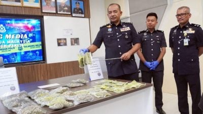 巧克力包装实为大麻砖 毒枭贩毒新手法祸及潮玩