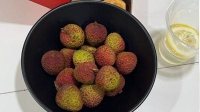 头晕不适、流鼻血……女子吃10斤荔枝患“荔枝病”医:一天最多20颗