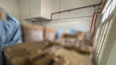 小心！洗衣液也有假货  雪贸费局起获2120瓶冒牌洗衣液