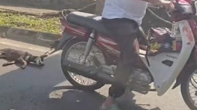 涉绑小狗在摩托车后拖行   警上门逮捕痴呆症老人