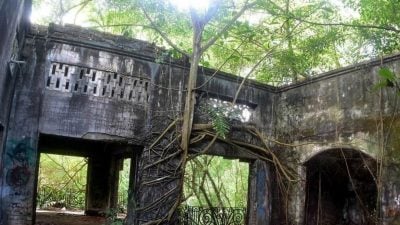 狮城政府与柔摄政王交换土地 专家：有利维护植物园生物多样性
