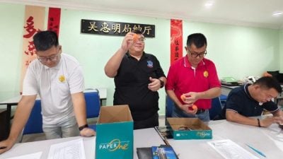 全柔传统南狮暨夜光龙巡回赛 15队伍争狮王龙王头衔