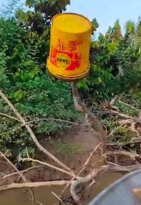 已签发 柔：版二头：甘榜阿巫华近两年4次河污致渔获减半，渔夫盼环境部加强执法