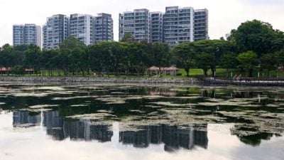 非官方预估：狮城上个月私宅交易量大幅减少17.5%