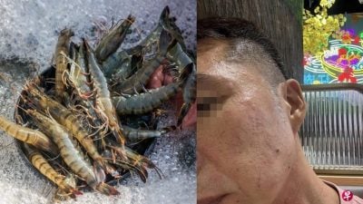 点老虎虾却来其他虾   狮城男吃后过敏起疹