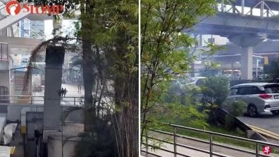 狮城商场排烟管排浓烟  经过公众诉呛鼻