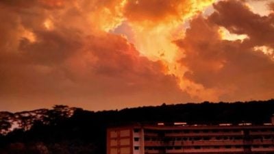 狮城破晓时分天际程呈金黄色  网民赞叹社媒分享拍照
