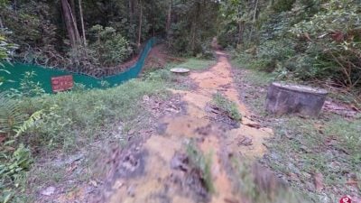 男子闯入狮城禁区  遭实弹射击训练弹头击中