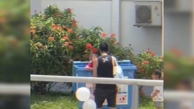 视频 | 狮城二三事：疑放孩子进回收桶罚站  狮城男子“教儿”视频掀议