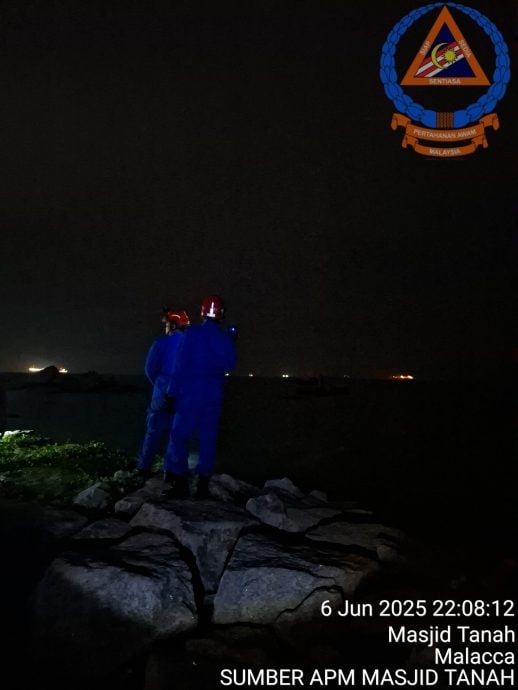 待宰牛只逃命至海里 出动民防部队到场搜寻
