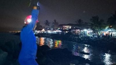 待宰牛只逃入海 民防部队出动搜寻