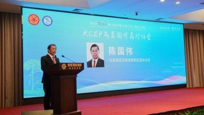 得益关税优惠成本减15% 陈国伟：RCEP让中国有便宜榴梿