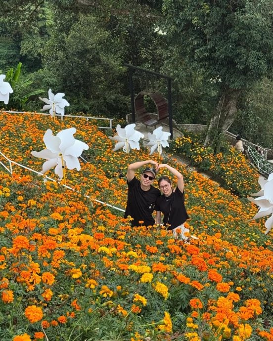 成功将大堀彩变成“大马彩”  王耀新成人夫后不退役