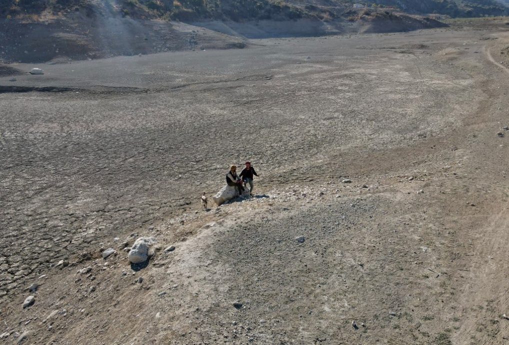 战后叙利亚逢乾旱 小麦欠收1600万人面临粮食危机