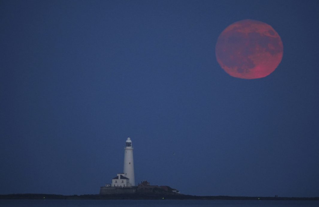 「草莓月亮」登场 错过再等18年