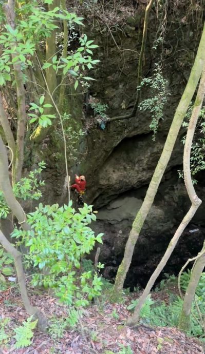 拼盘   张家界钟乳石溶洞变7层高垃圾山  官方：已清出51吨垃圾 4人被停职