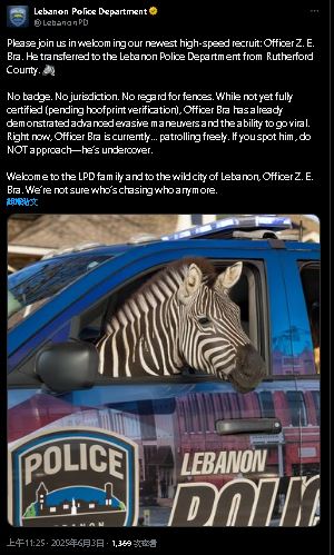 拼盘 斑马逃亡一周被捕…直升机空运送回