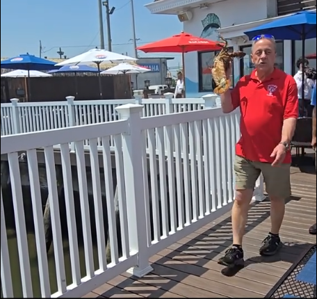 拼盘 美国餐厅庆父亲节 放生110岁老龙虾