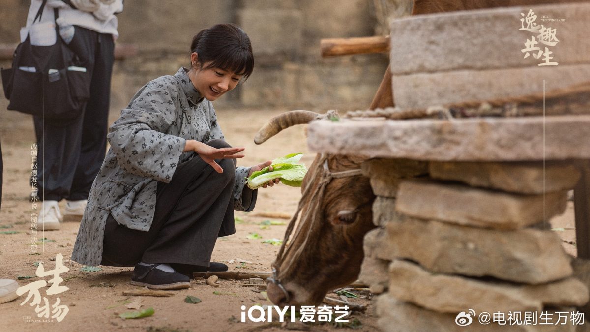 新片暑假黄金档播出 杨幂迪丽热巴仓底翻身　	