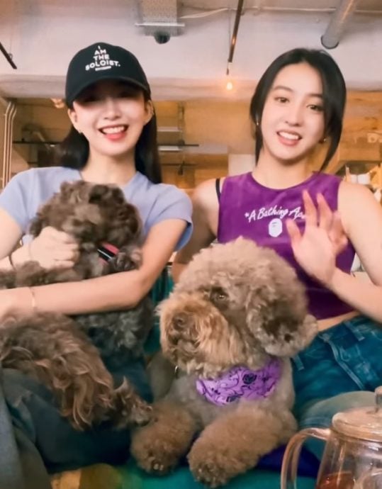 木村拓哉成新社长热门人选?将兼顾演员工作