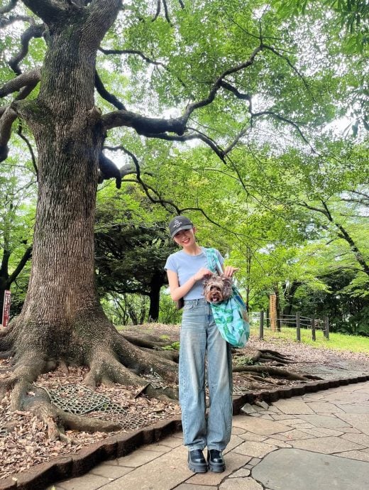 木村拓哉成新社长热门人选?将兼顾演员工作