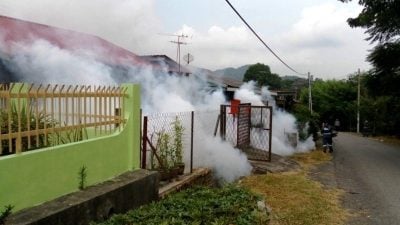 森骨痛热症病例全国第五  议员警告：若不遏止 恐逼近高峰