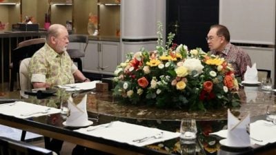 汇报最新进展和当前课题 元首今早接见首相2小时