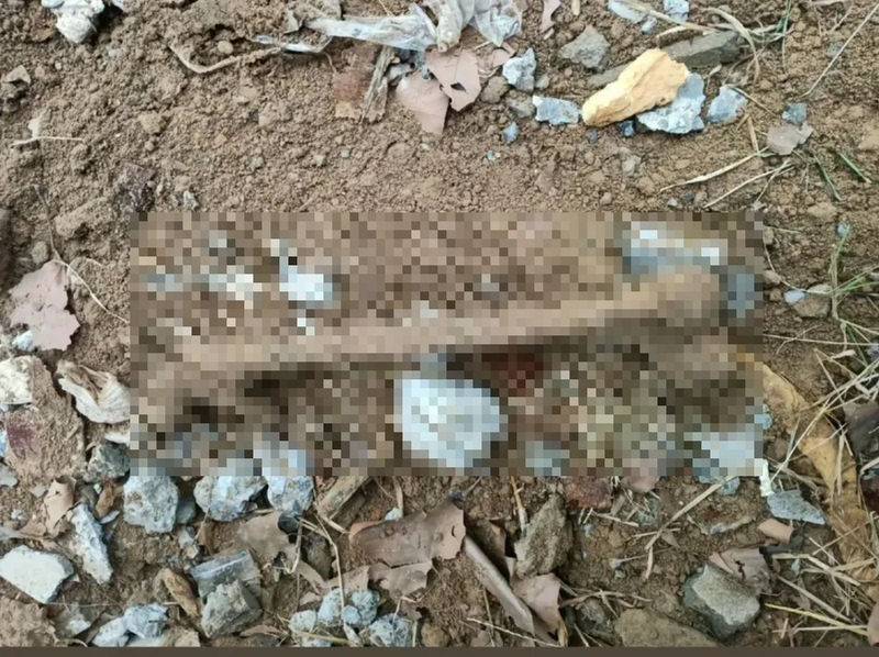 河南女子买新屋“送人骨” 建商“不退不换”延烧半年未解