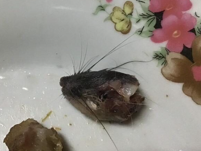 泰国路边摊买烤猪肠　吃完发现“整颗老鼠头！”