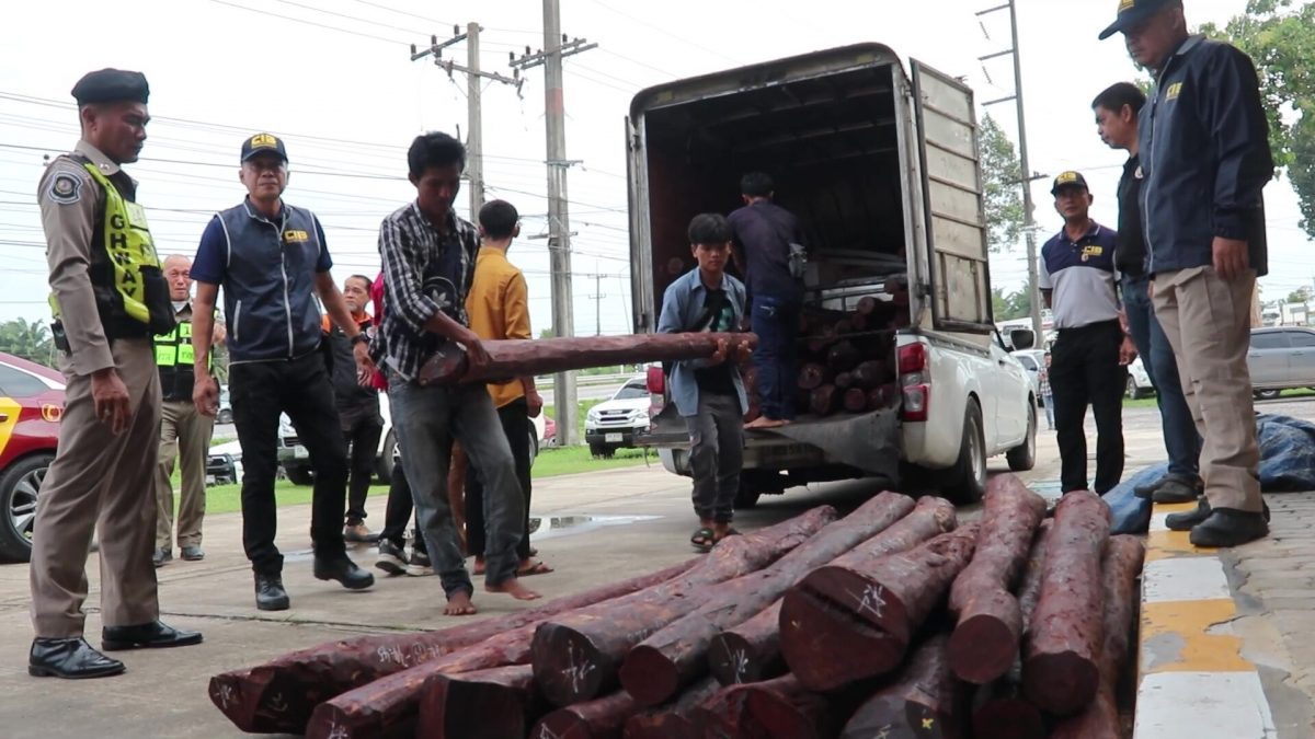 泰警破红木走私案 供货人疑为4大马男子