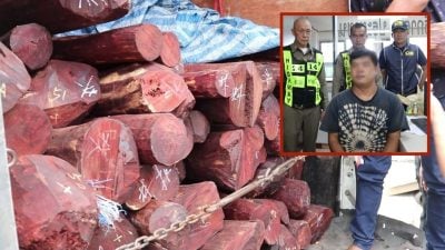 泰警破红木走私案 供货人疑为4大马男子