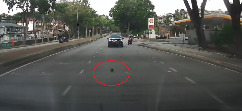 添油将钱包放车顶忘取下 女子捡到依地址送还失主