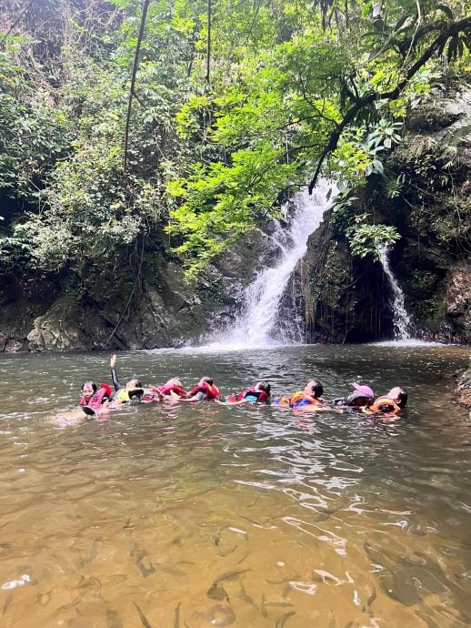 游客增加30% 皇家柏隆森林旅游热