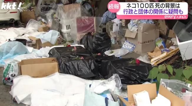  熊本一住家发现逾百猫尸  户主竟是动物保护志愿者 