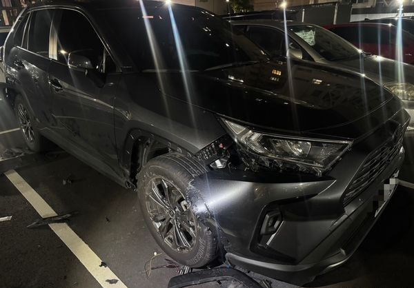 爱车多处损毁 回看监视器 破坏王竟是它们