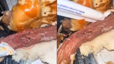 视频| 特价热狗面包爬满蛆虫 女子轰：还在保质期却坏了！