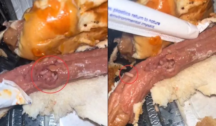 特价热狗面包爬满蛆虫 女子轰：还在保质期却坏了！