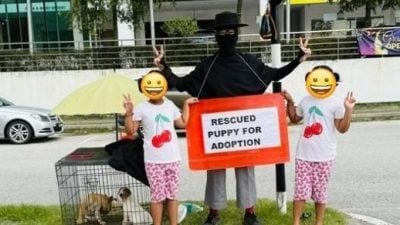 男子烈日下站28个时 帮3只浪浪找主人！