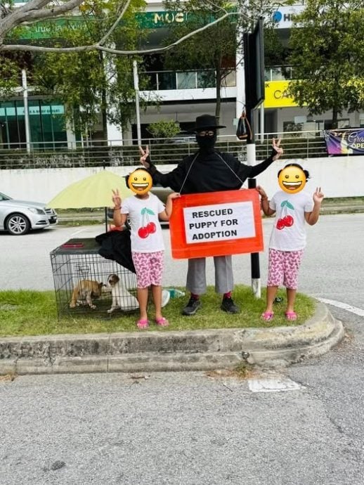 男子烈日下站28个时 帮3只浪浪找主人!