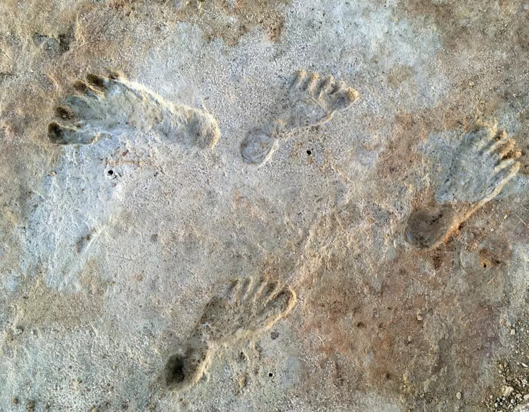 白沙国家公园现两万年前人类足迹 改写人类移居美洲时间