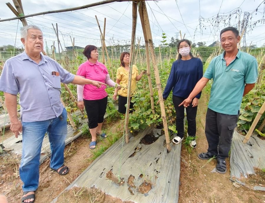 空气频现刺鼻异味 拱桥农民促环境局跟进