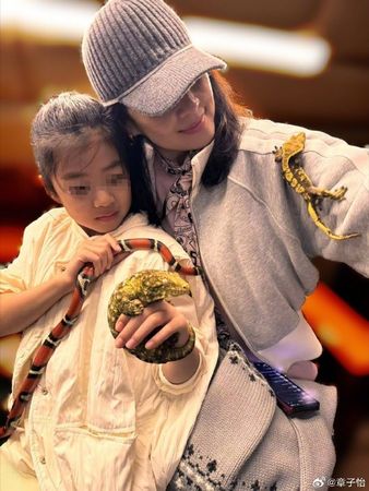 章子怡9岁爱女首曝光 高颜值基因引热议