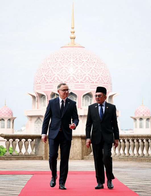 综合删短/安华:成为区域日益重要伙伴·大马波兰需深化关键领域合作